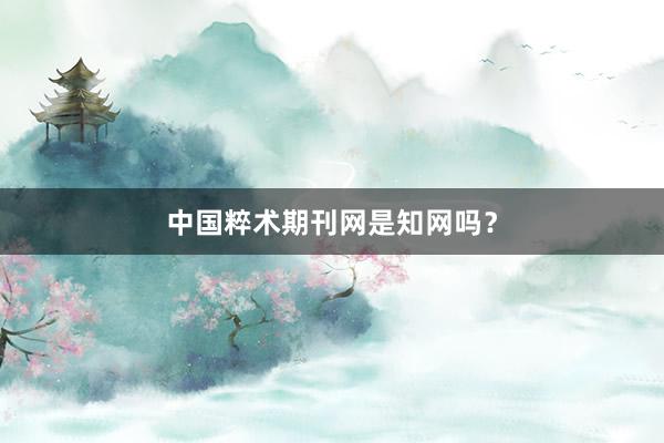 中国粹术期刊网是知网吗?
