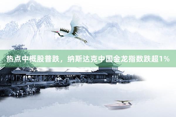 热点中概股普跌，纳斯达克中国金龙指数跌超1%