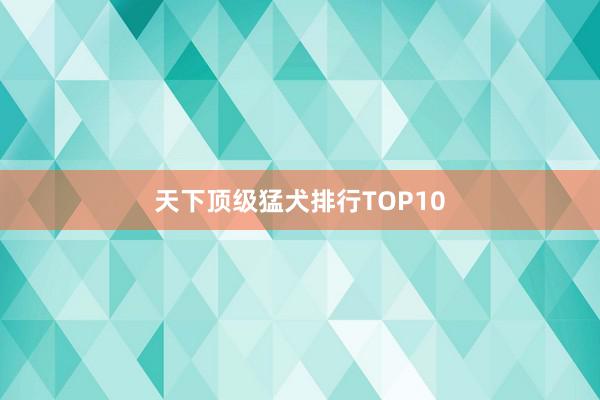 天下顶级猛犬排行TOP10